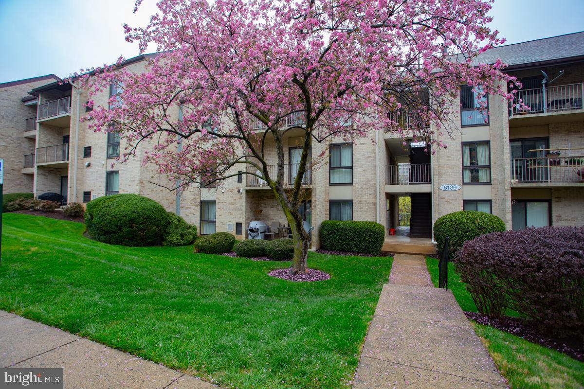 EDSALL BLUFF - Residential