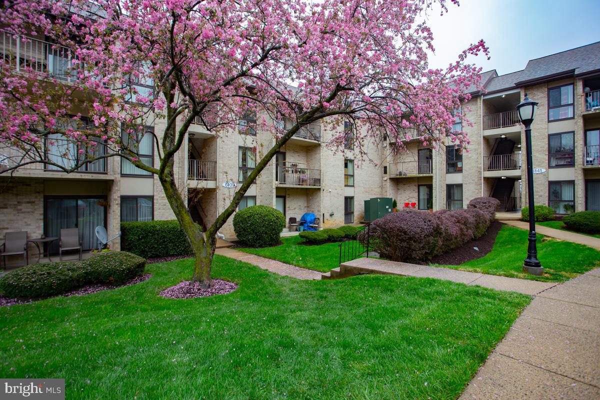 EDSALL BLUFF - Residential