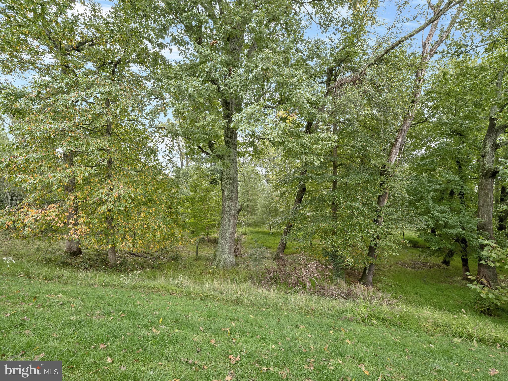 POPLAR RUN - Residential