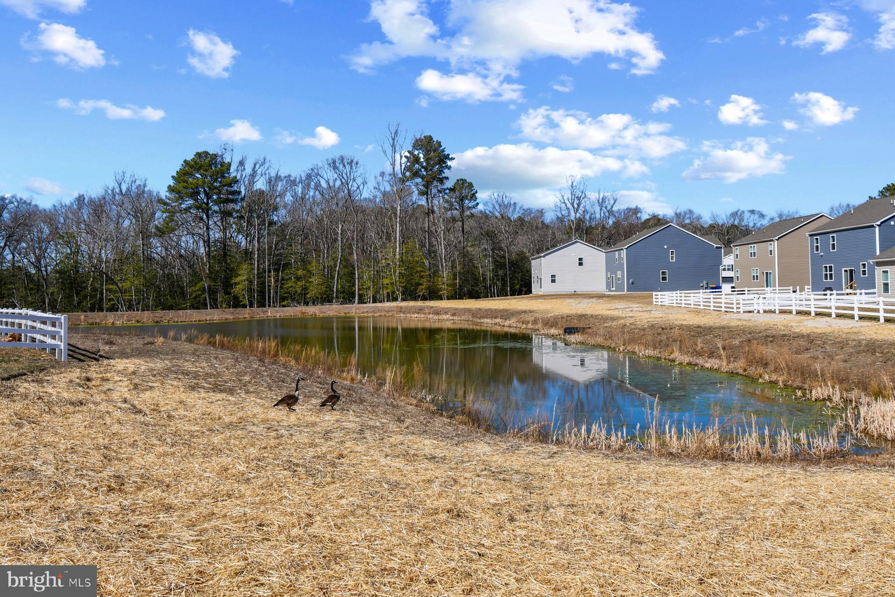 STONEWATER CREEK - Residential Lease