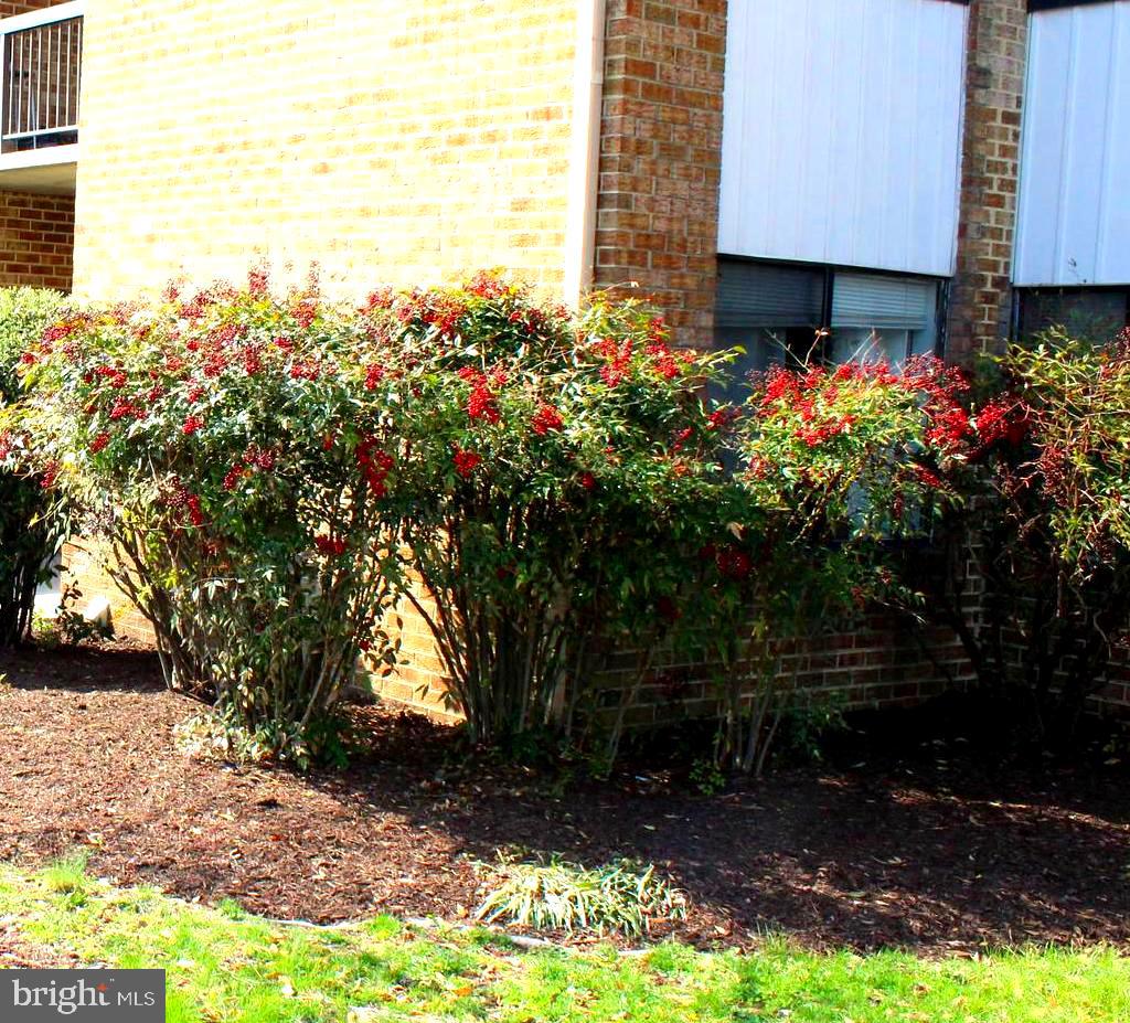 CHERRY GLEN - Residential