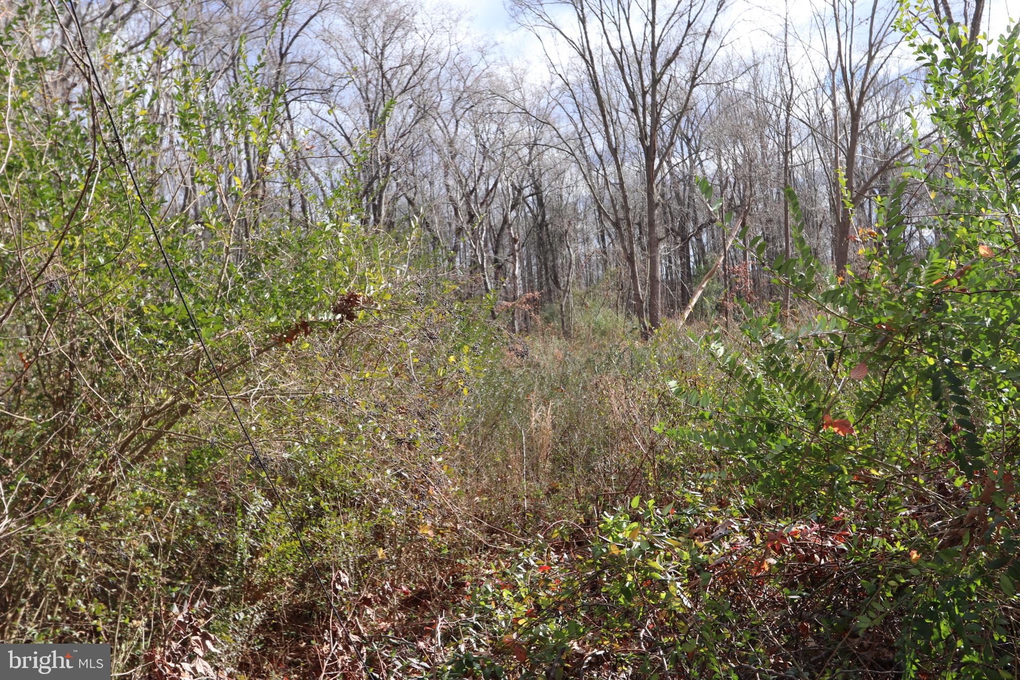 lot 1 TRAVERS ROAD