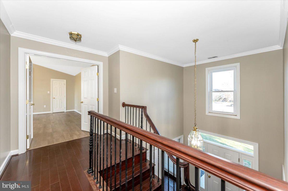 ELIZABETH'S DELIGHT - Residential