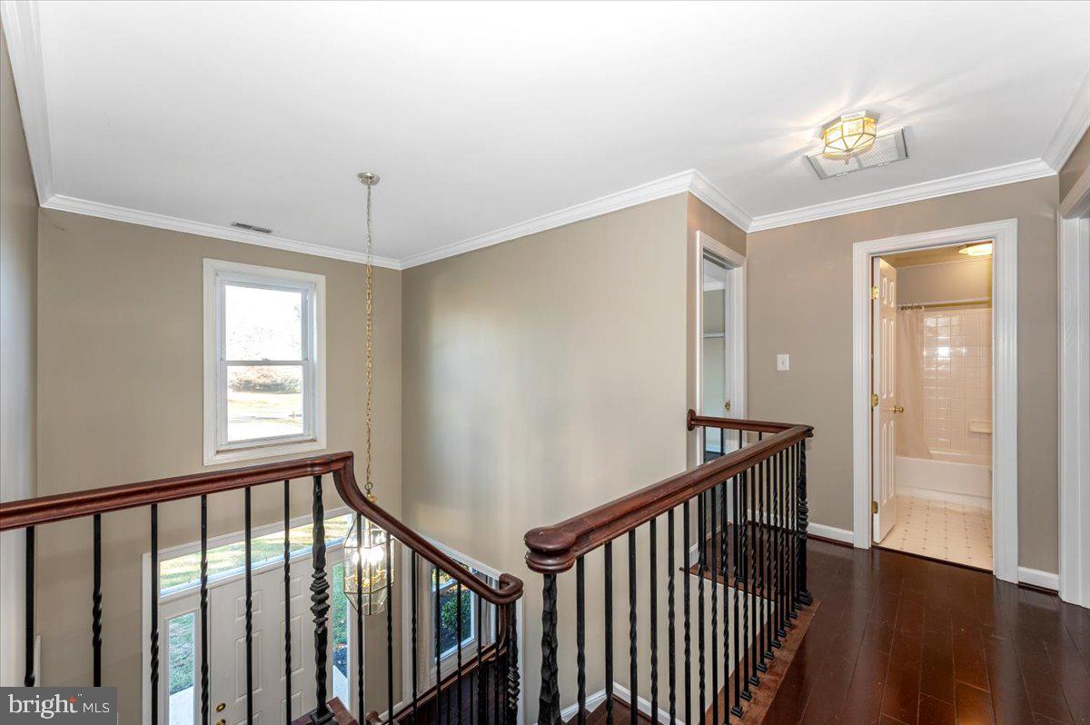 ELIZABETH'S DELIGHT - Residential