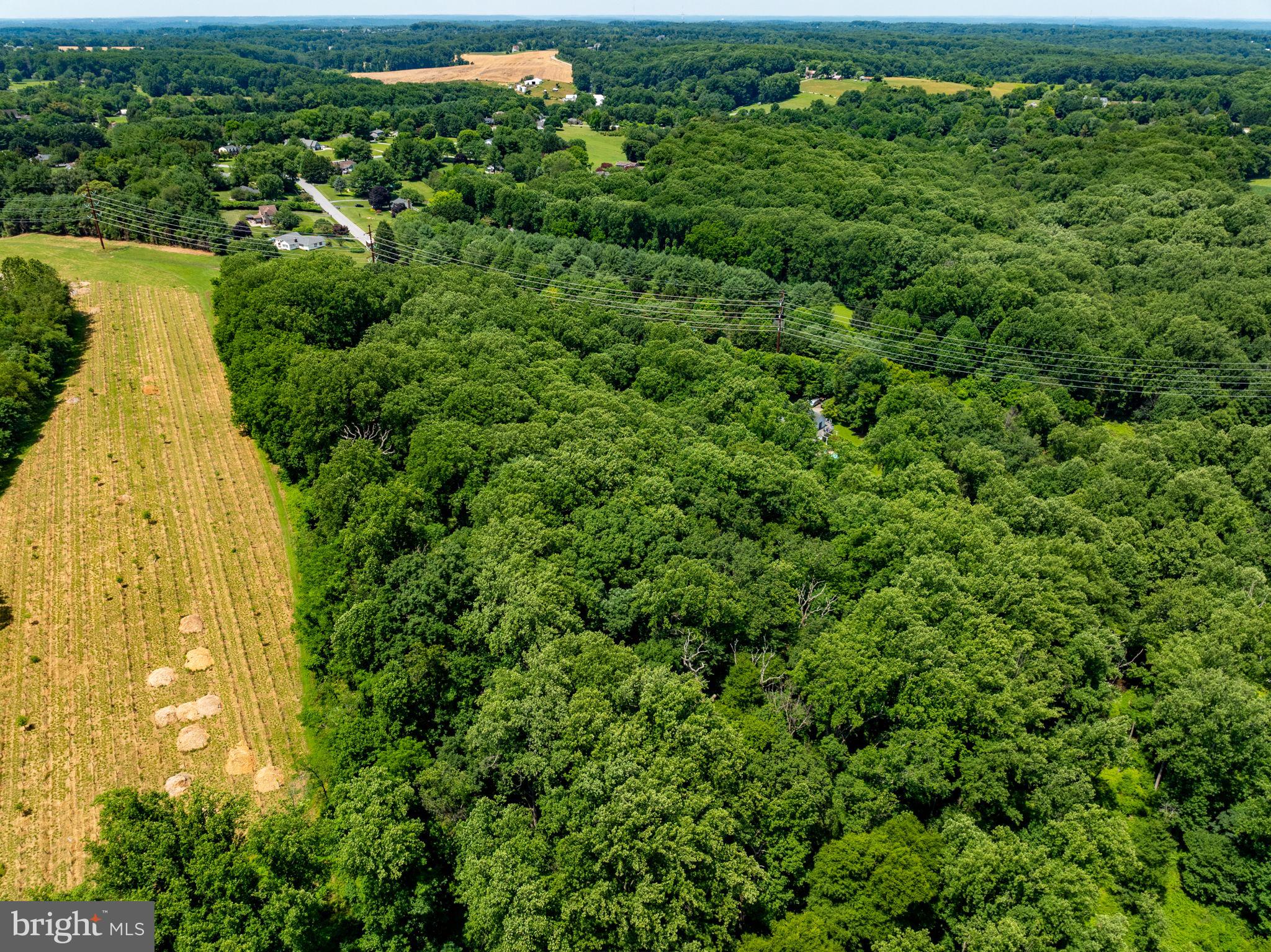 14309 CARROLL RIDGE COURT A