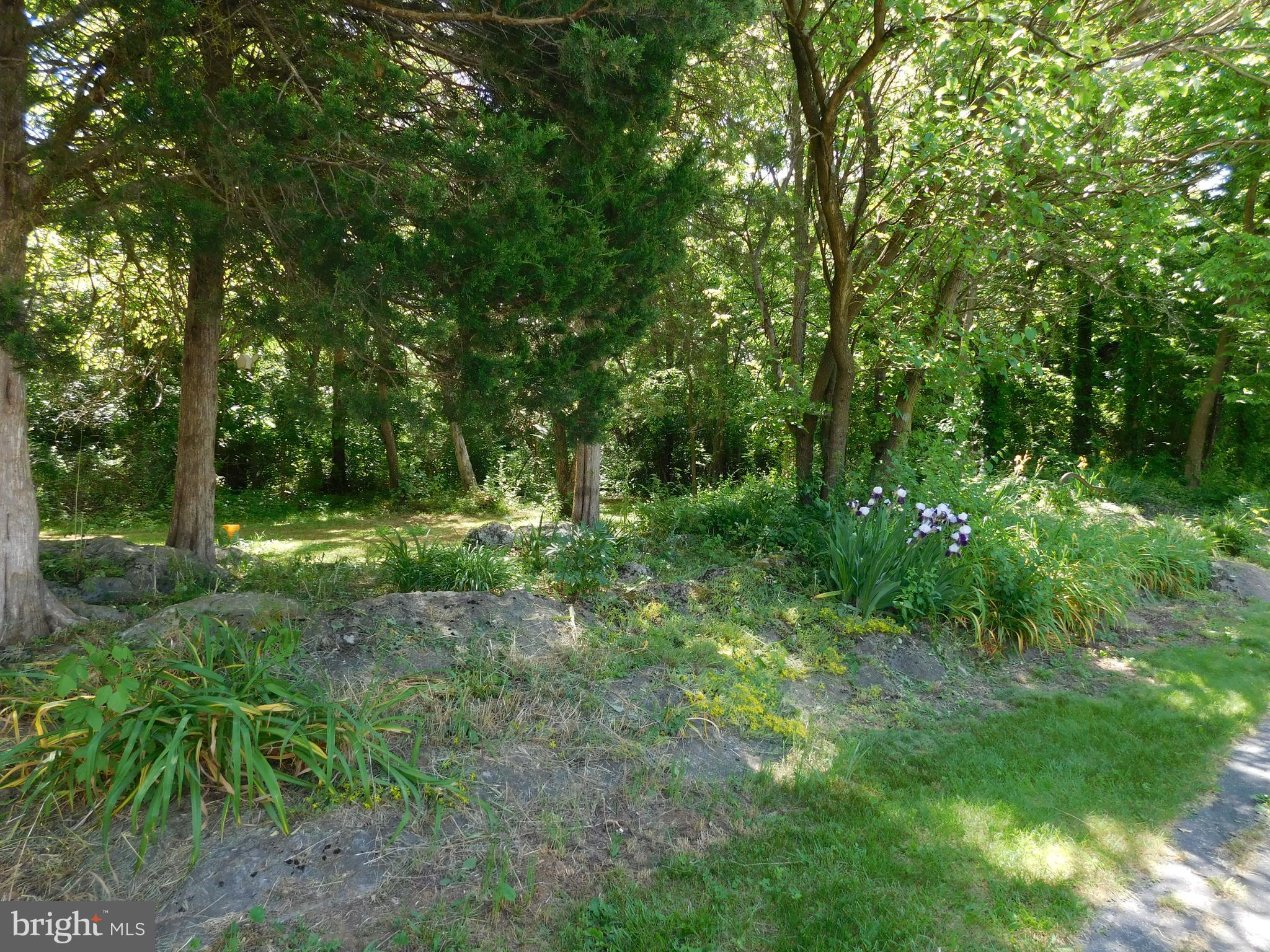 BYERS MEADOWS - Residential