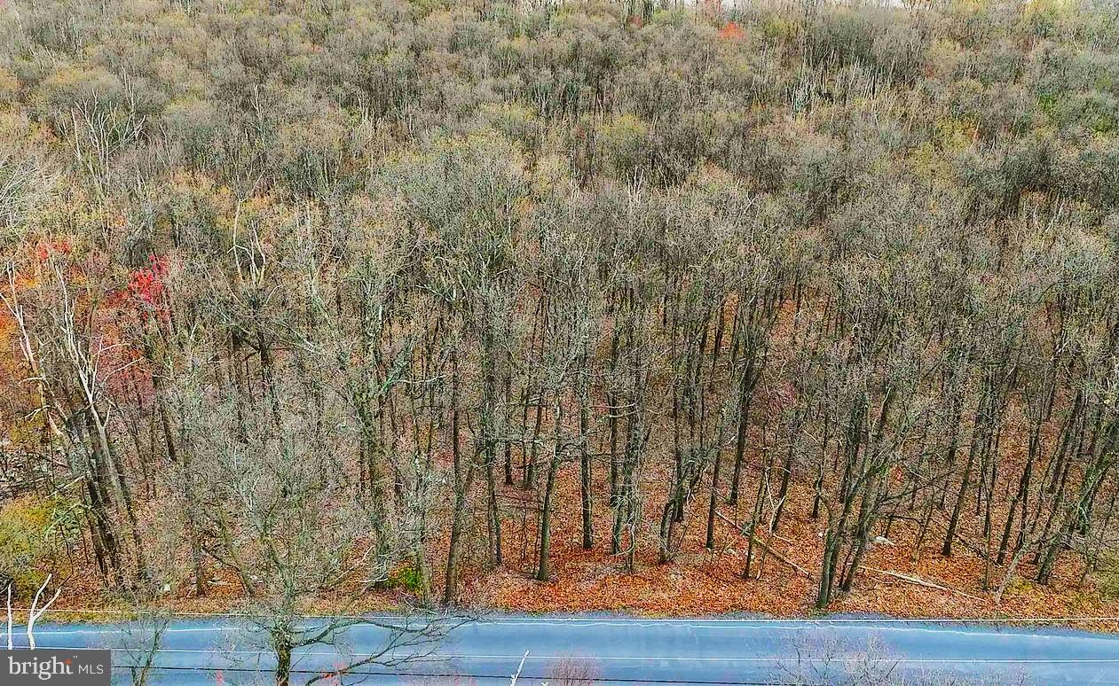 Discover 5.05 wooded acres in Drums, PA—perfect for your dream home or cabin retreat. Located in
Luzerne County, this property offers mature tree cover throughout and a gently sloping terrain from North to South, providing privacy and natural drainage. The land is mostly level from East to West, making it versatile for future development. With electricity already available at the road and frontage on Sugarloaf Road, this parcel combines rural tranquility with convenient access. Whether you're looking to build or invest, this property is a rare opportunity in a desirable area.The property is undeveloped and has not been assigned a postal address. The neighboring home's address is 504 Sugarloaf Heights Rd, Drums, PA, 18222. So, if you're on Sugarloaf looking at 504, the property is to the right with roughly 300 feet of road frontage.