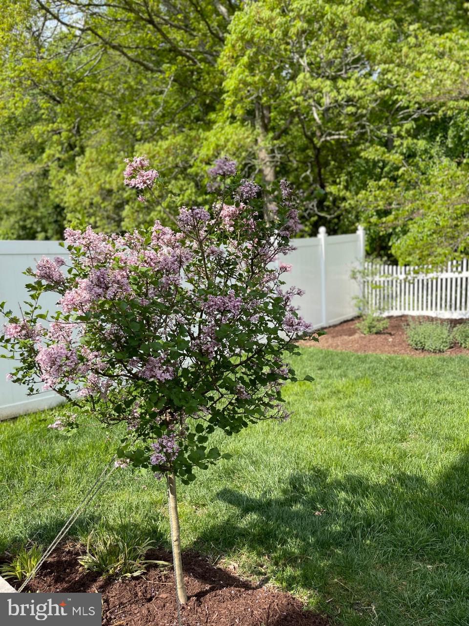 LEONARDS GRANT - Residential