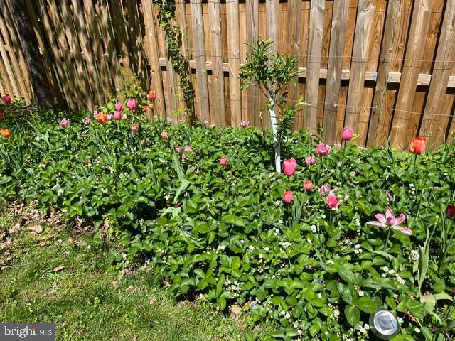 COPENHAVER - Residential