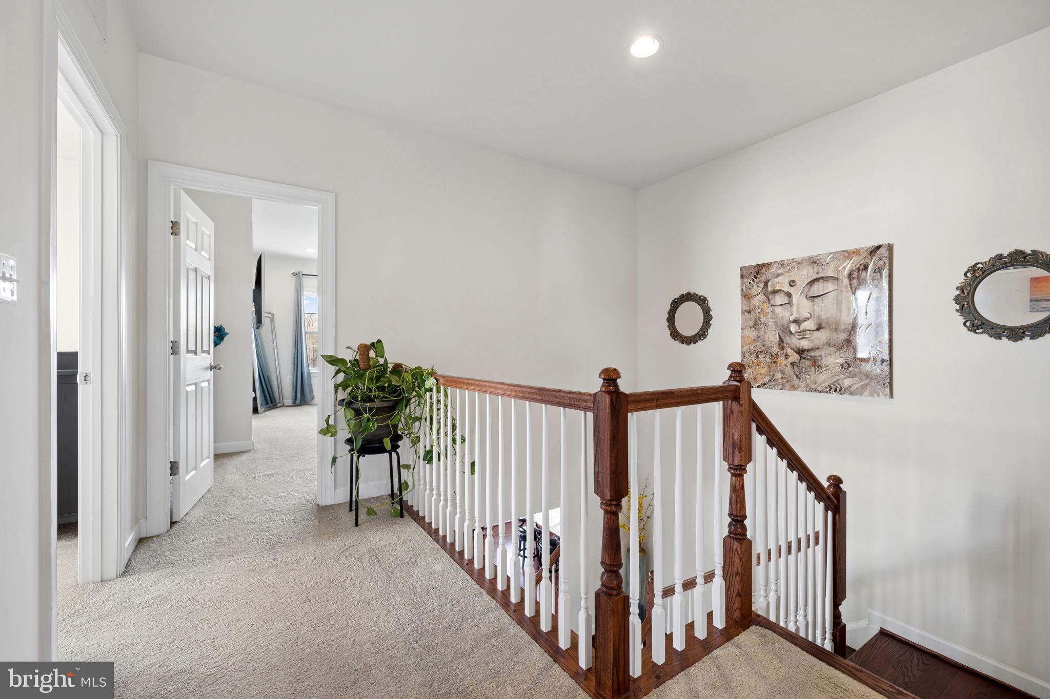 NICHOLSON FARM - Residential