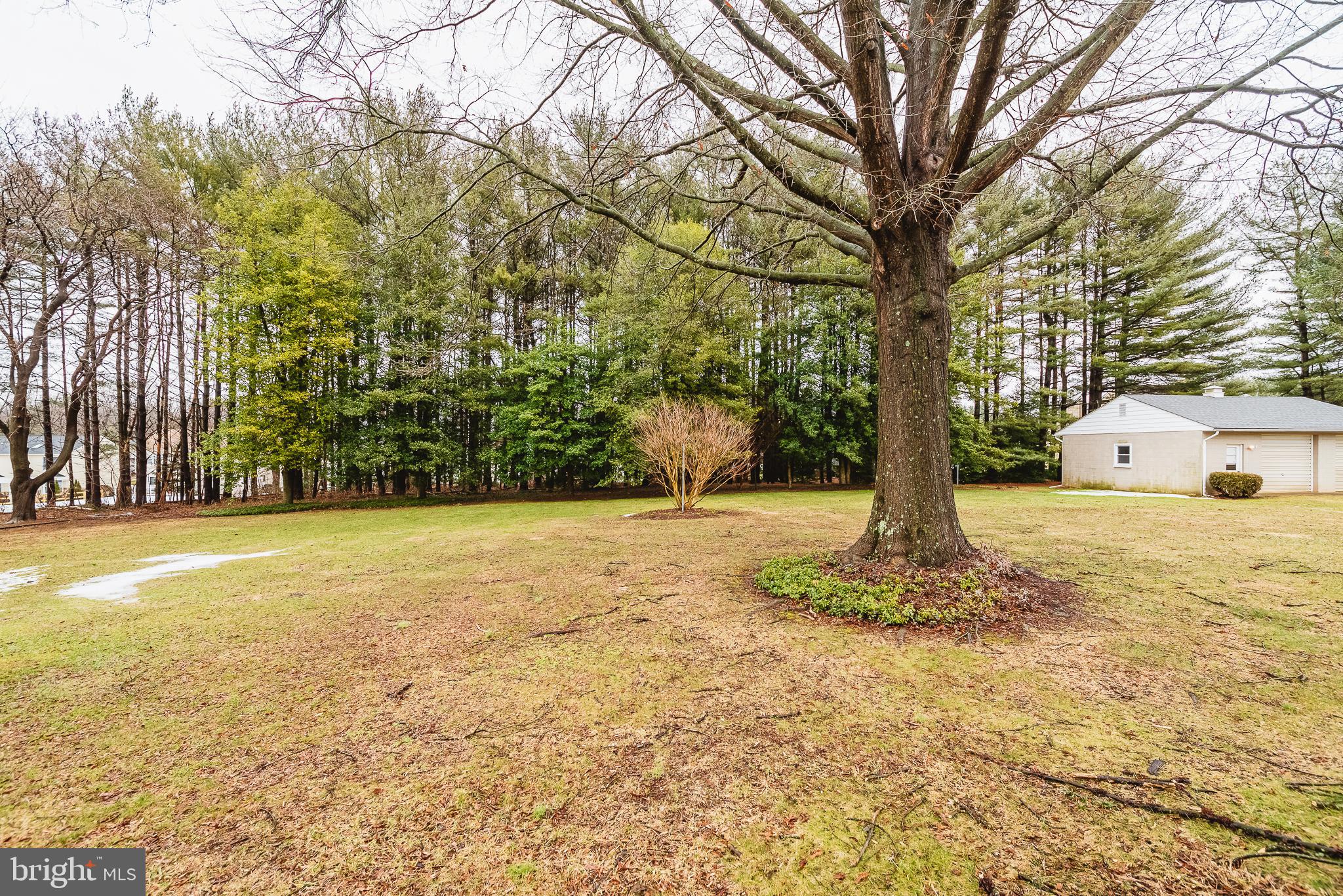 LOCUST KNOLL - Residential