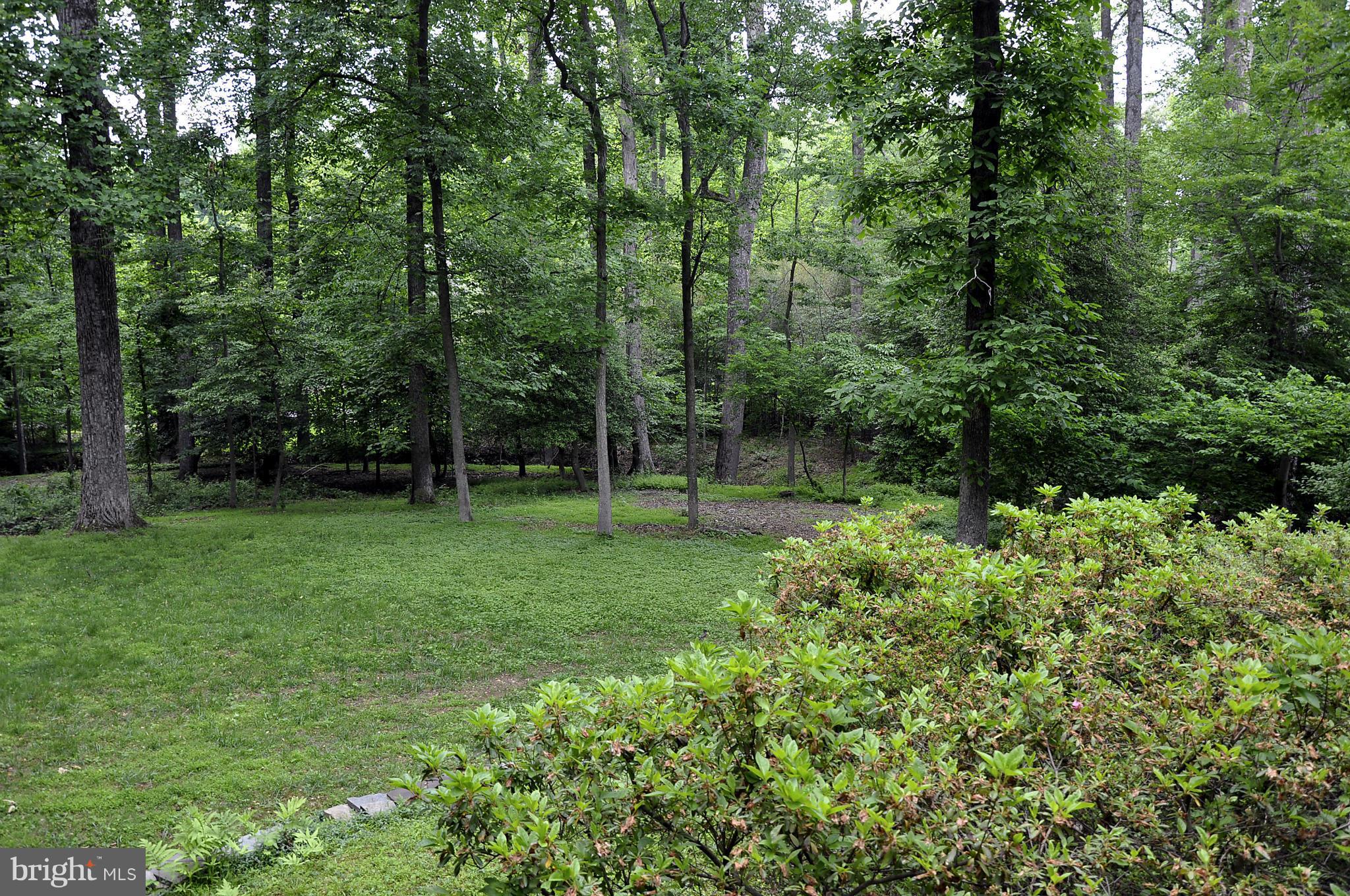 WILLIAMSBURG ESTATES - Land