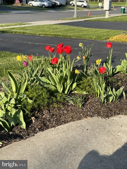 GRANDVIEW MEADOWS - Residential
