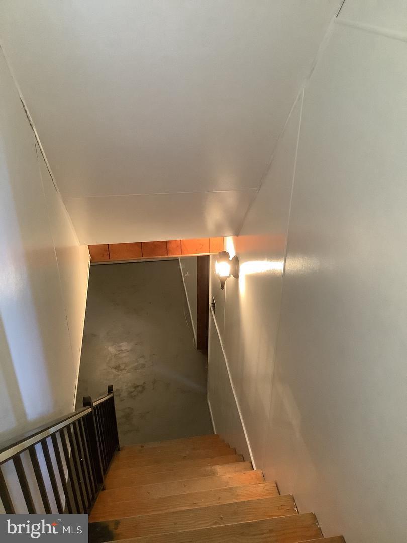 CEDAR SPRINGS - Residential Lease