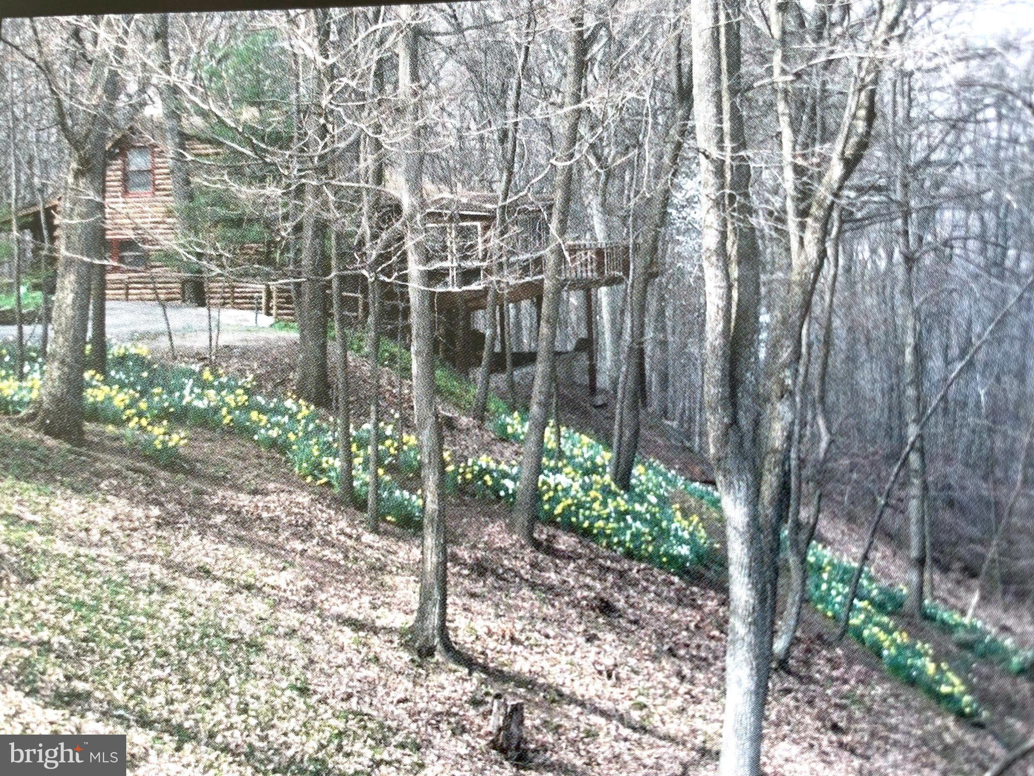 SLEEPY HOLLOW SUBDIVISION - Residential