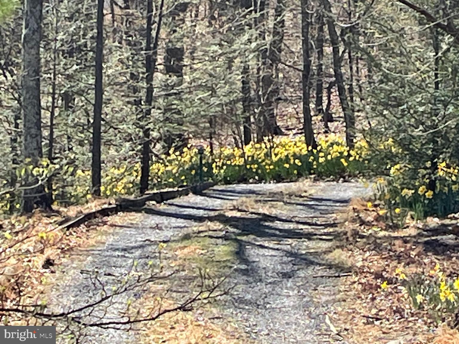 SLEEPY HOLLOW SUBDIVISION - Residential