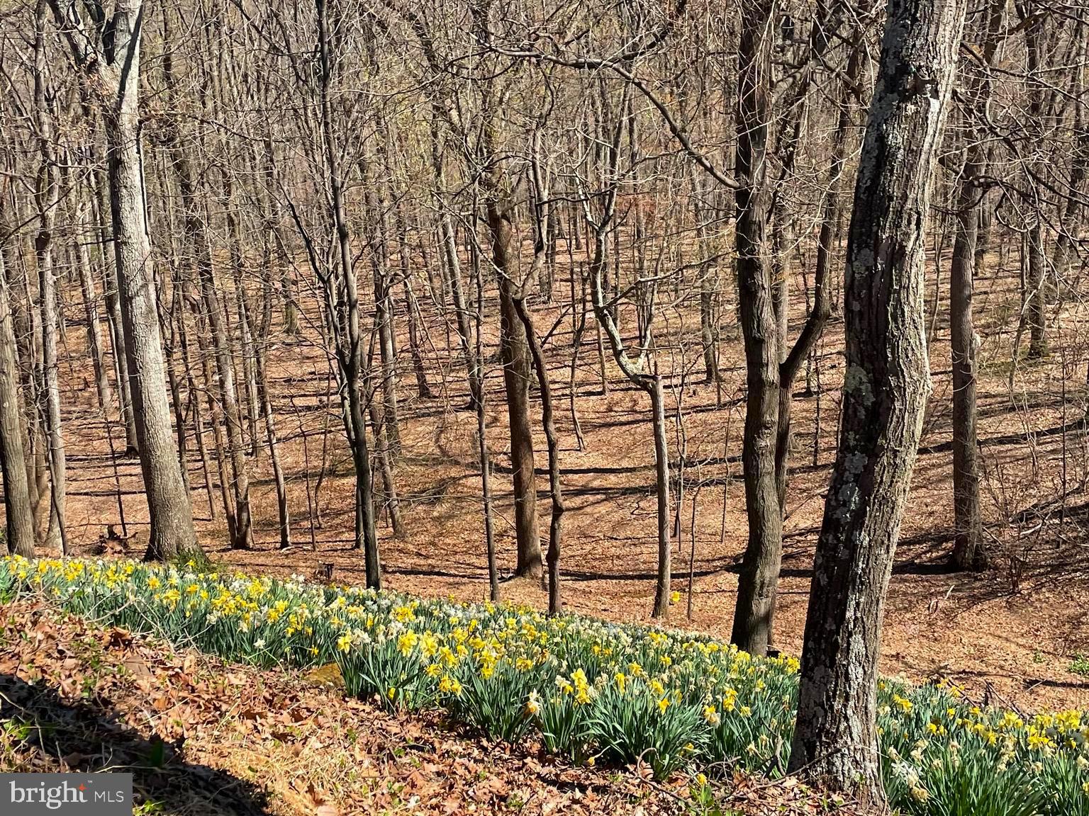 SLEEPY HOLLOW SUBDIVISION - Residential