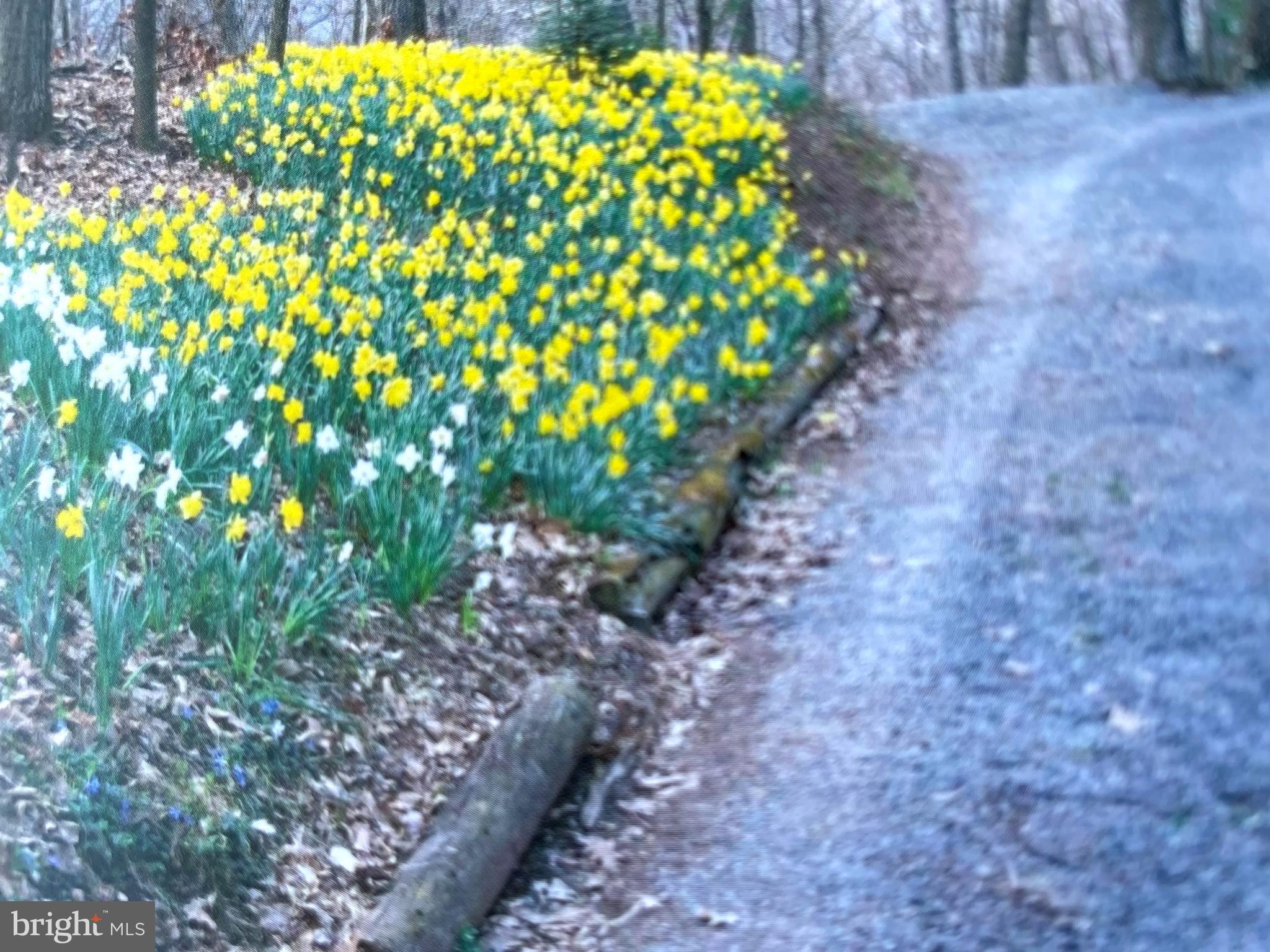 SLEEPY HOLLOW SUBDIVISION - Residential