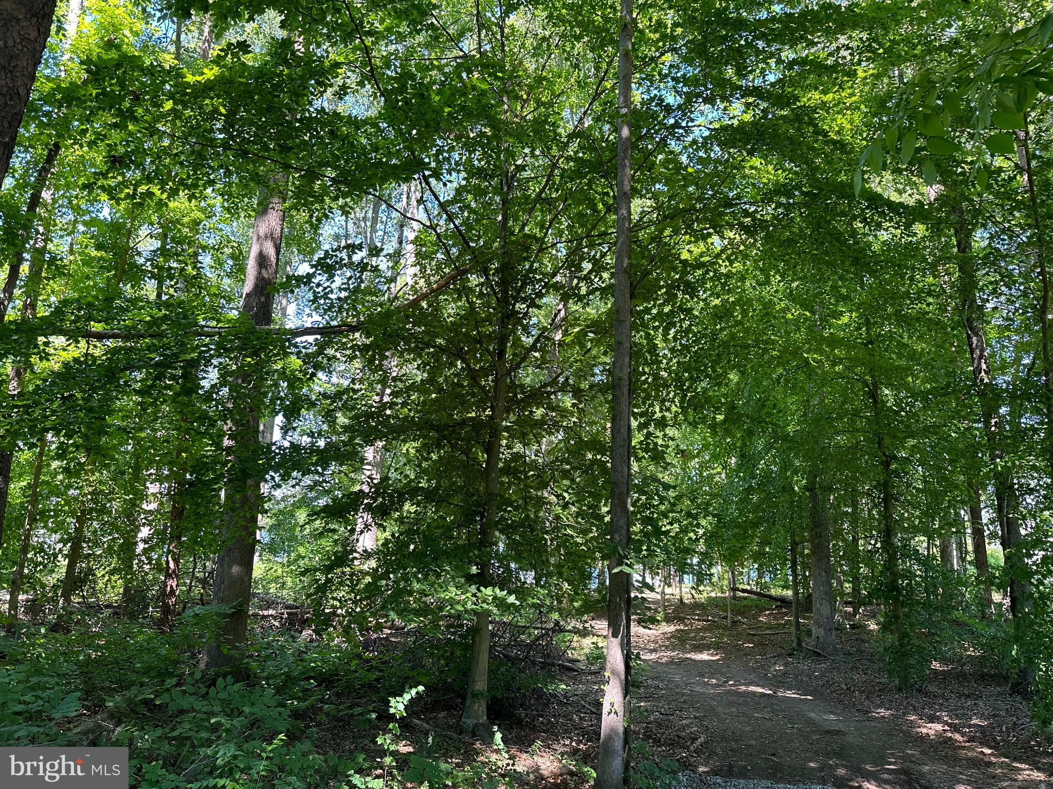 LIGHTHOUSE POINT - Residential