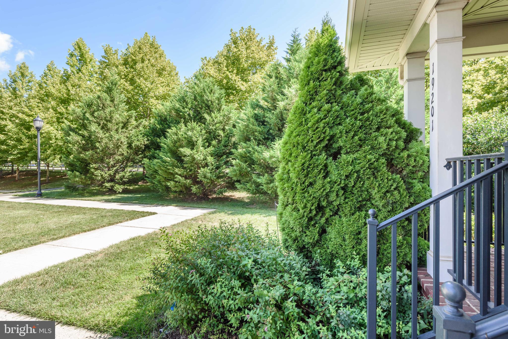 LINDEN ROW CONDOMINIUM - Residential