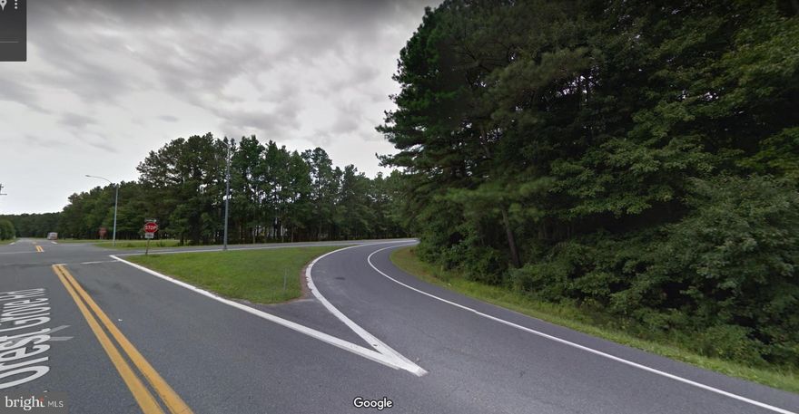 Prime corner lot with over 2,000; of road frontage on Route 50 - Ocean Gateway, Forest Grove Road and Old Ocean City Road!!  Lots of potential with this huge 75 acre lot.  Can be purchased with an additional 10+ acre lot that faces Old Ocean City Road.