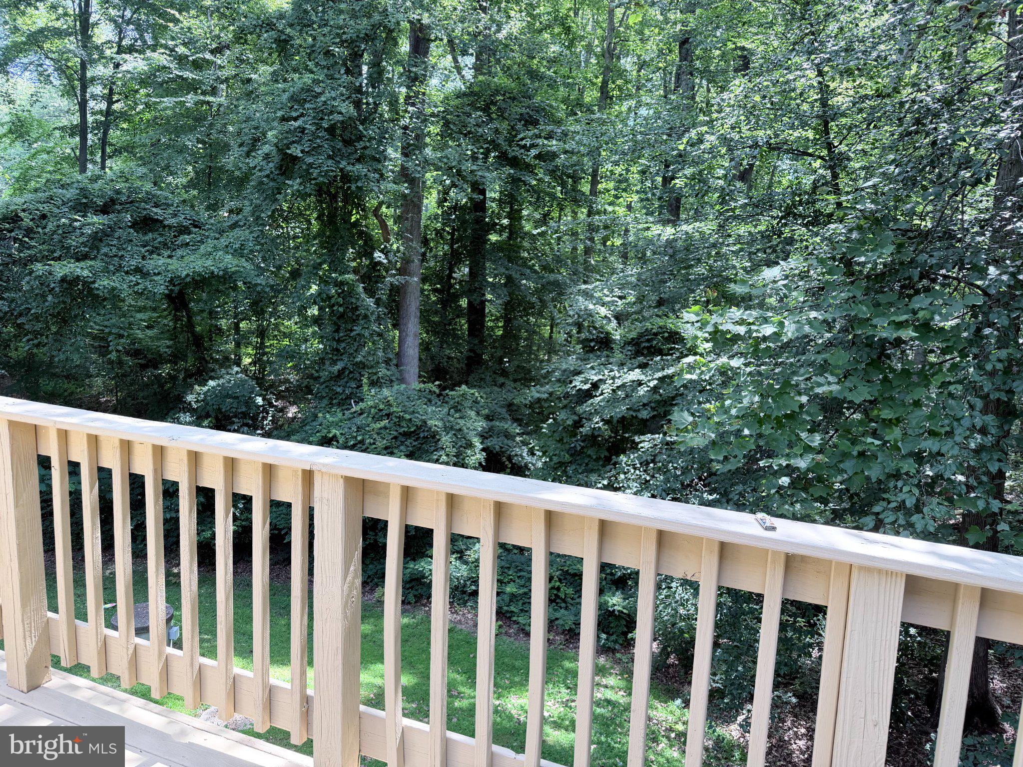 11039 TIMBERVIEW DRIVE