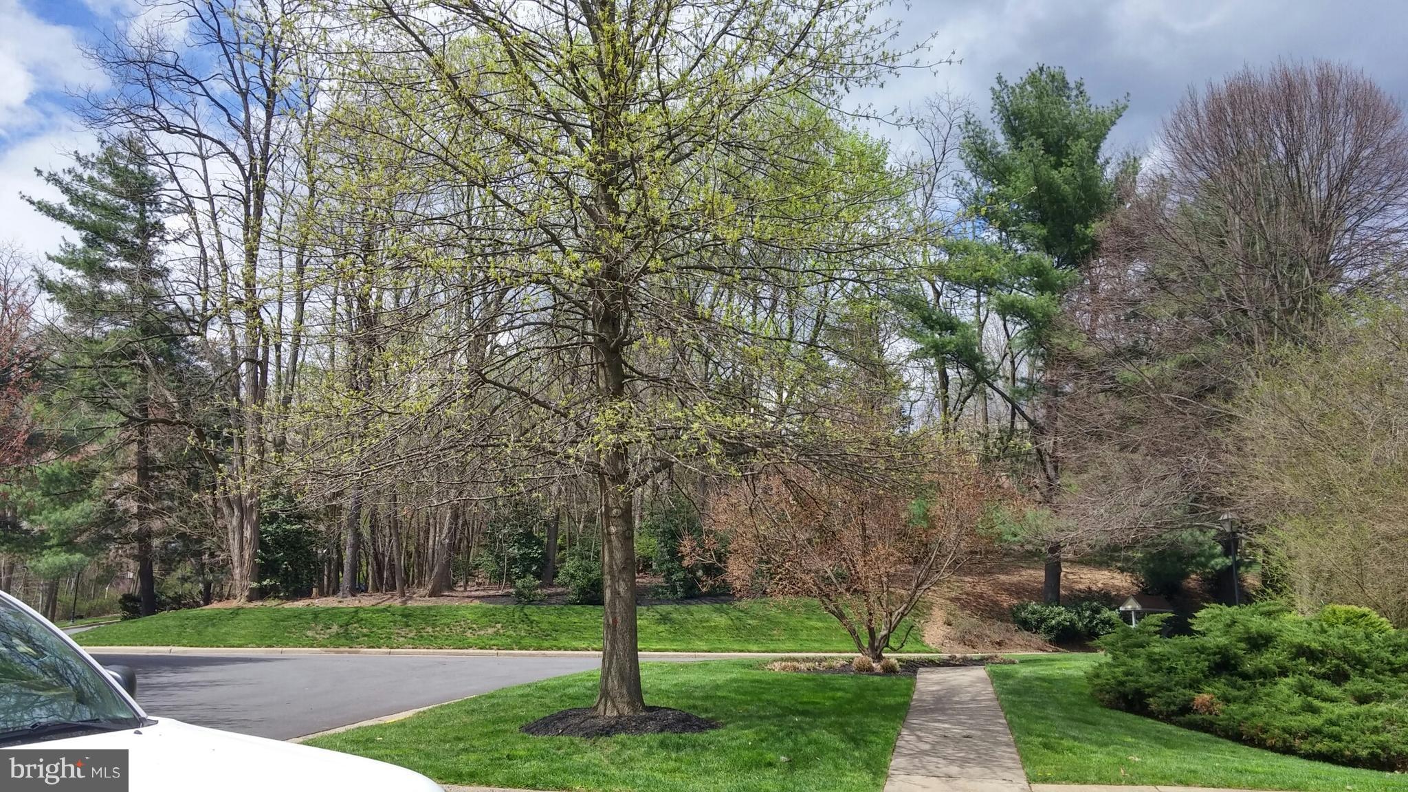 TOWNES OF WAKEFIELD - Residential Lease