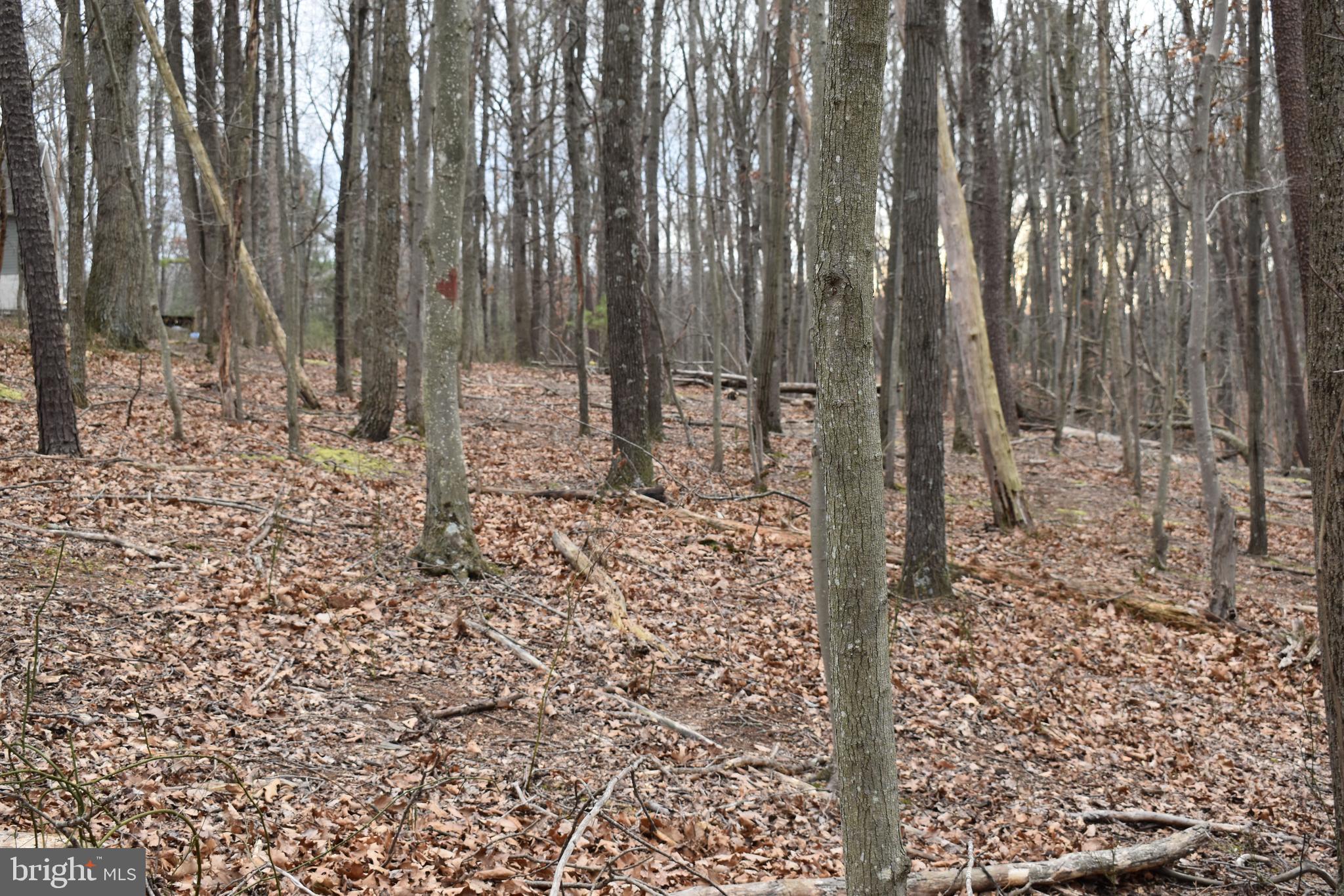 COLONIAL VILLAGE - Land