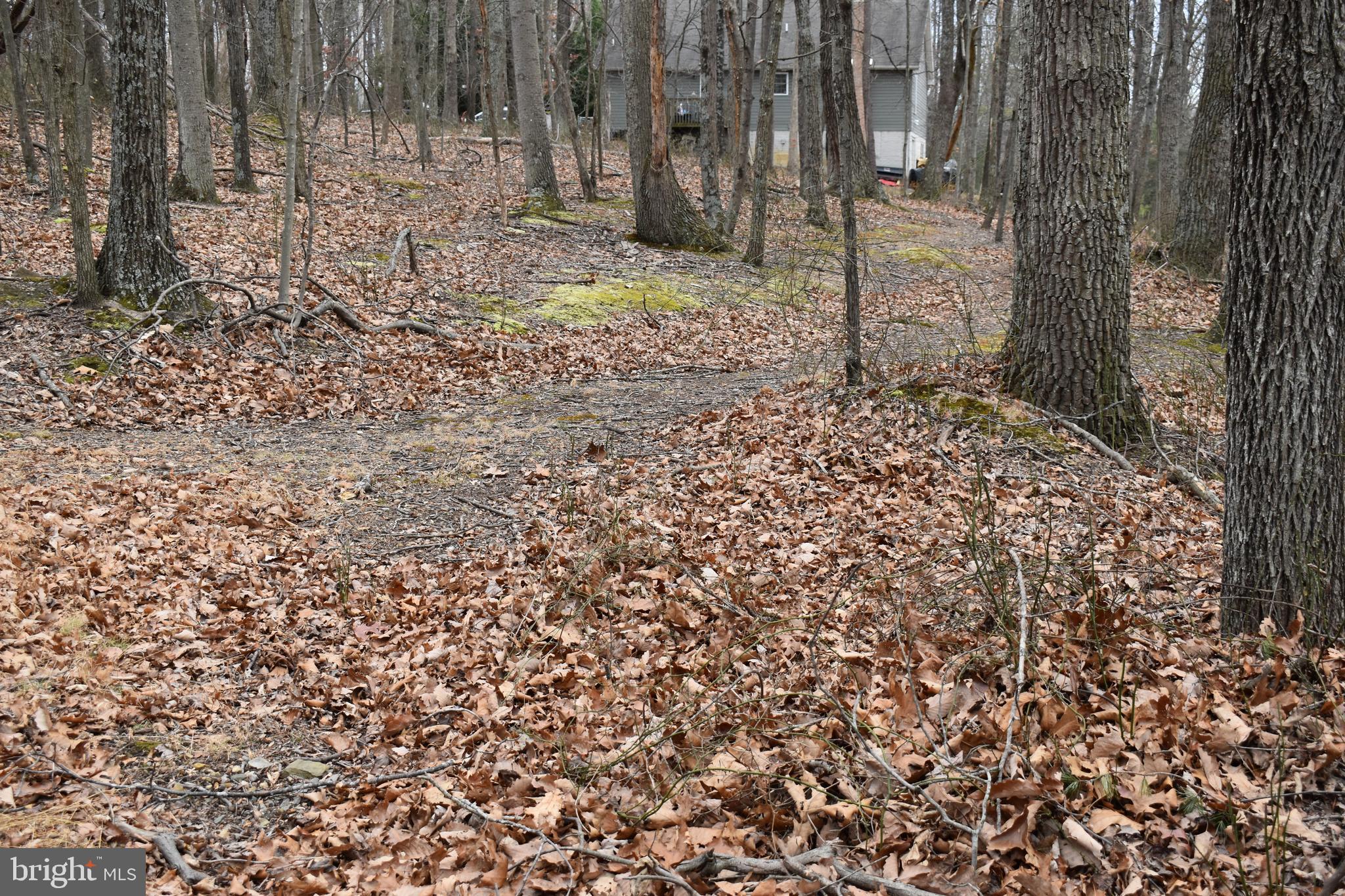 COLONIAL VILLAGE - Land