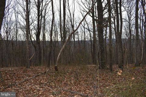 Vacant Land For Sale - 58 Birch Grove Lane<br/> BERKELEY SPRINGS, WV 25411