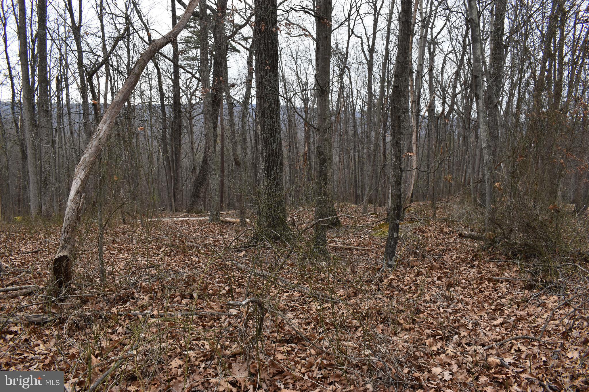 COLONIAL VILLAGE - Land