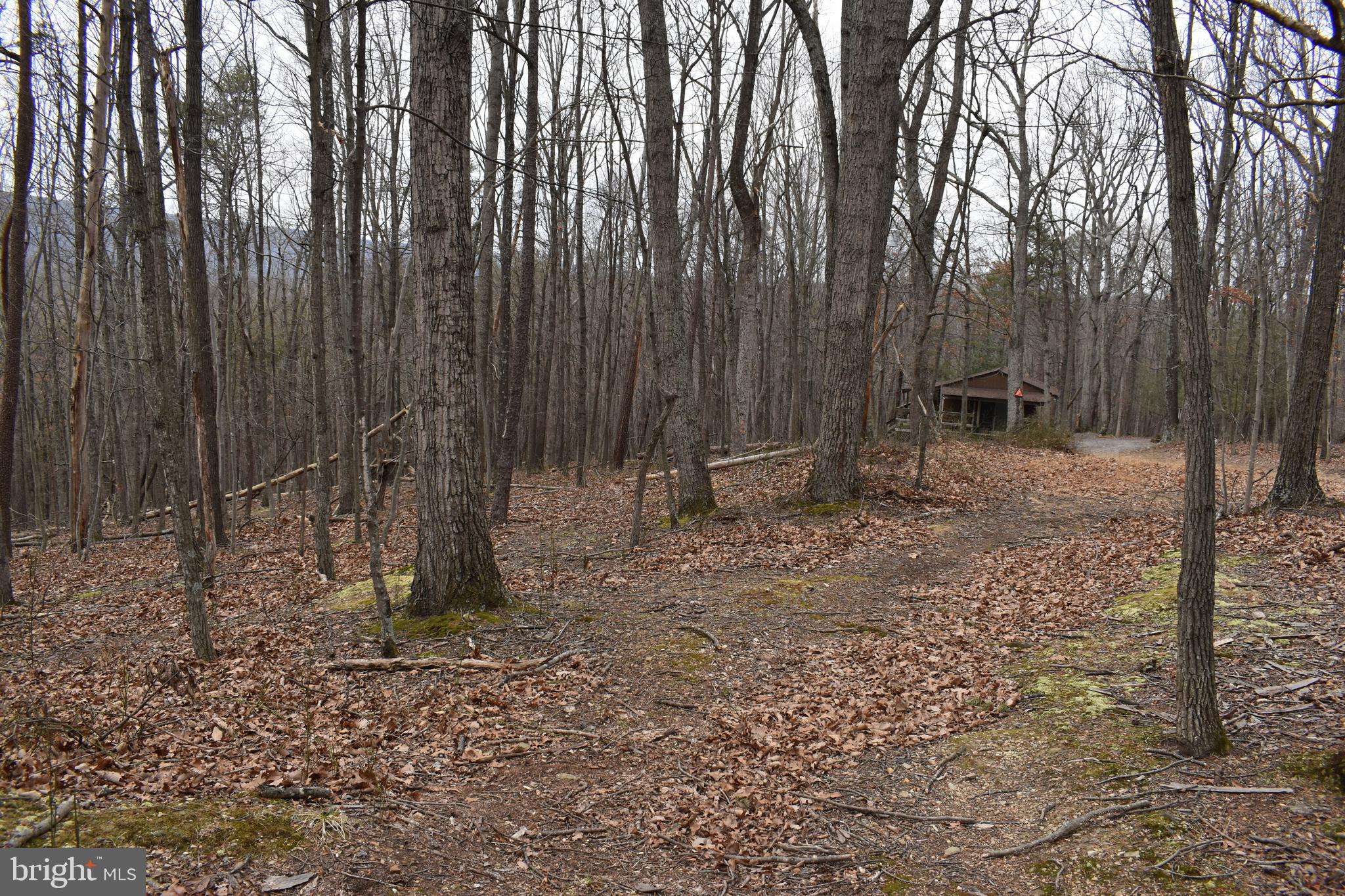 COLONIAL VILLAGE - Land