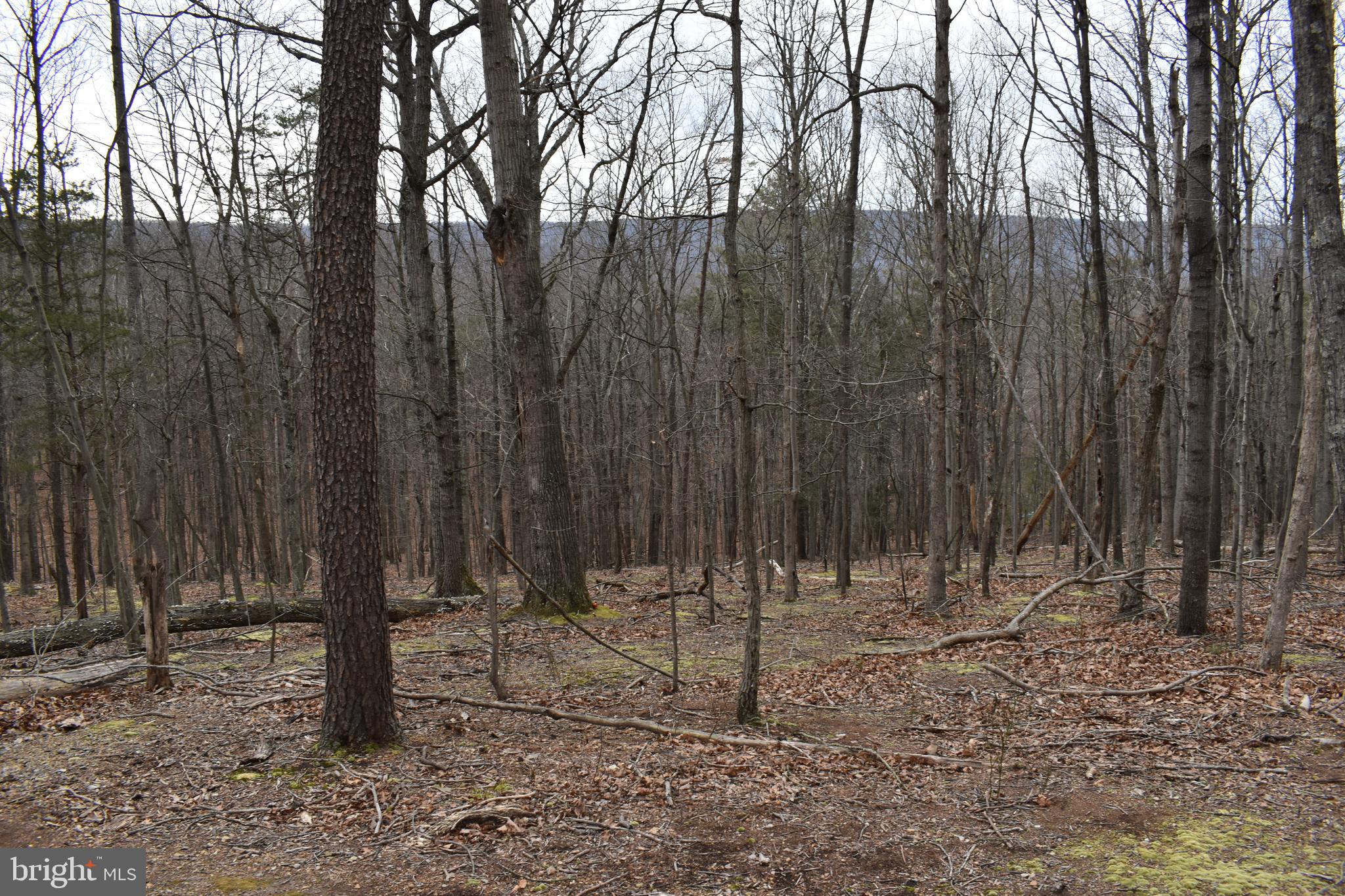 COLONIAL VILLAGE - Land