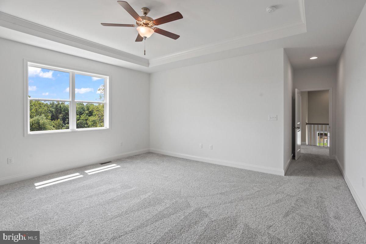 THE MEADOWS AT COLONIAL CLUB - Residential