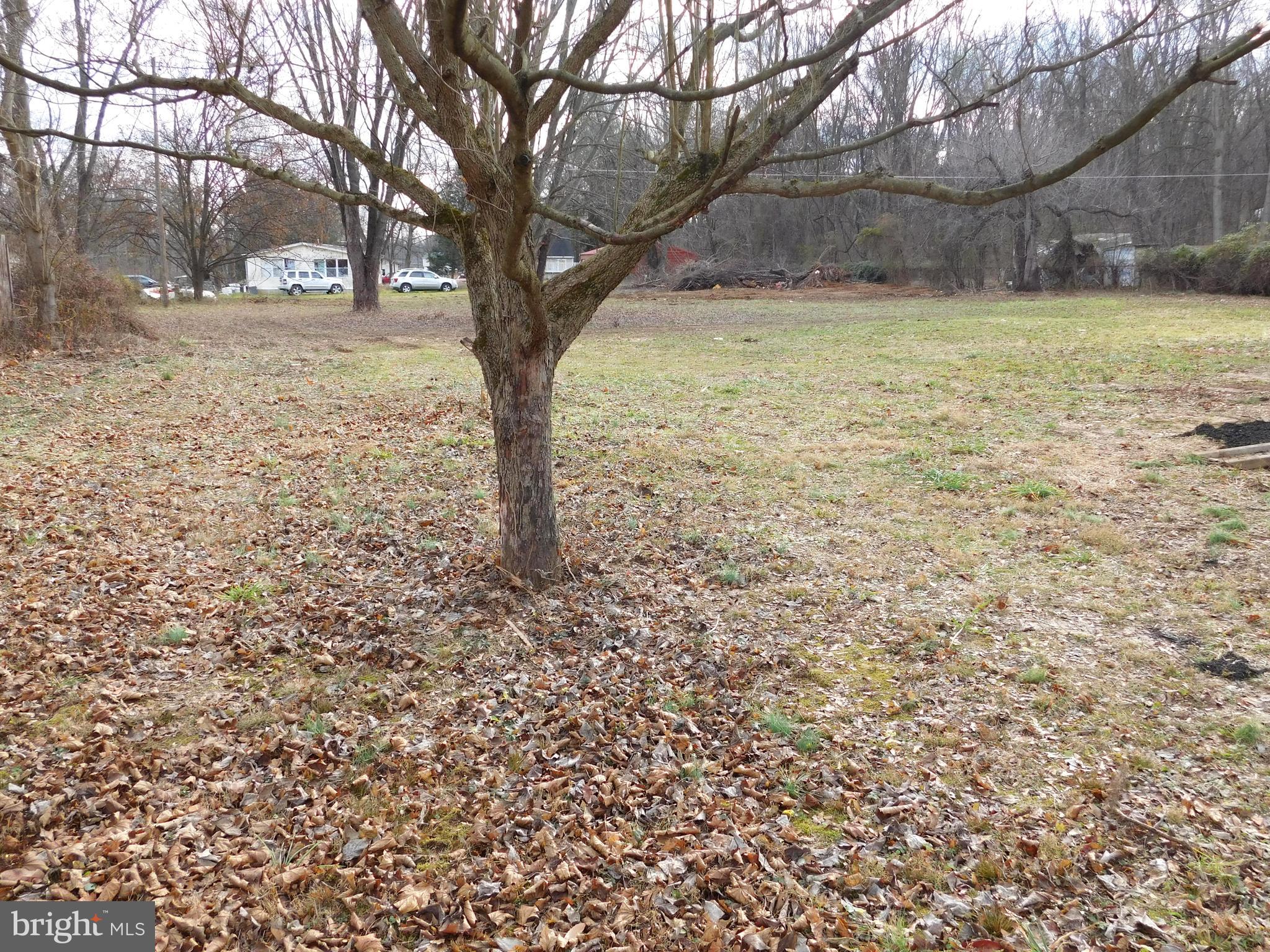 ALBEMARLE - Residential