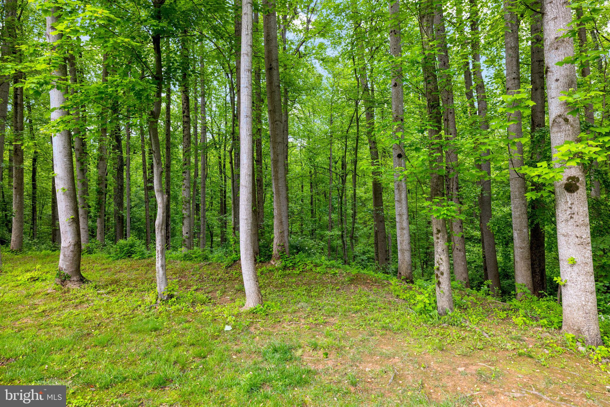 CHESTNUT GROVE - Residential Lease