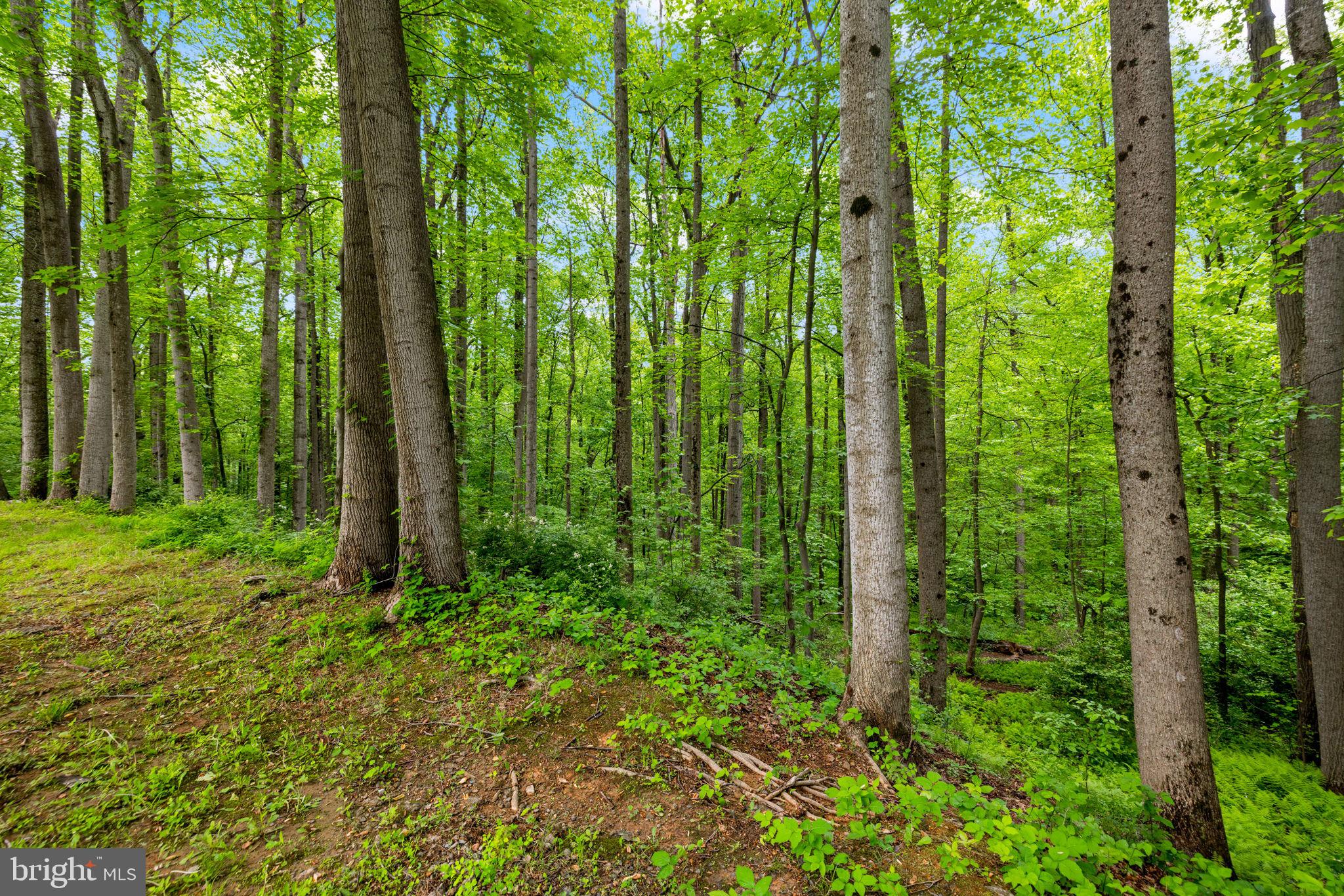 CHESTNUT GROVE - Residential Lease