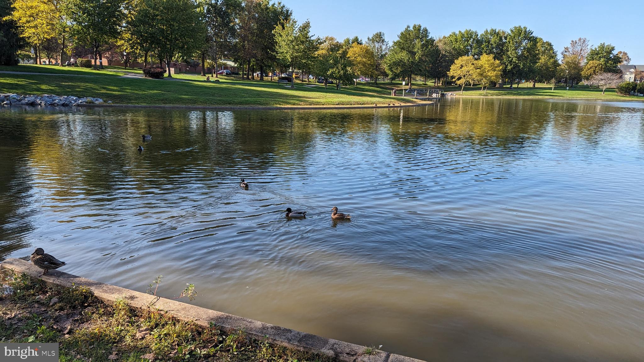 WHITTIER POND - Residential