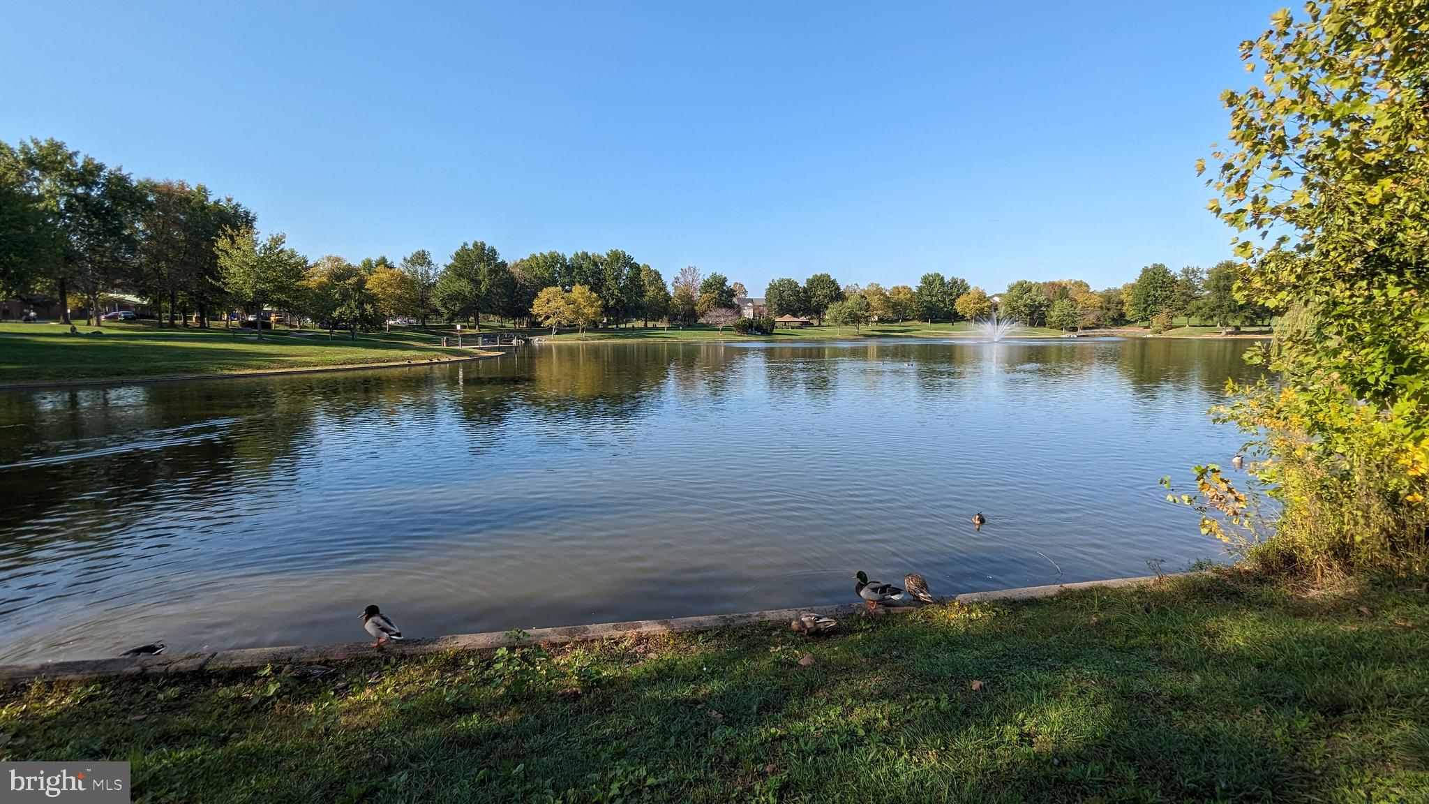 WHITTIER POND - Residential