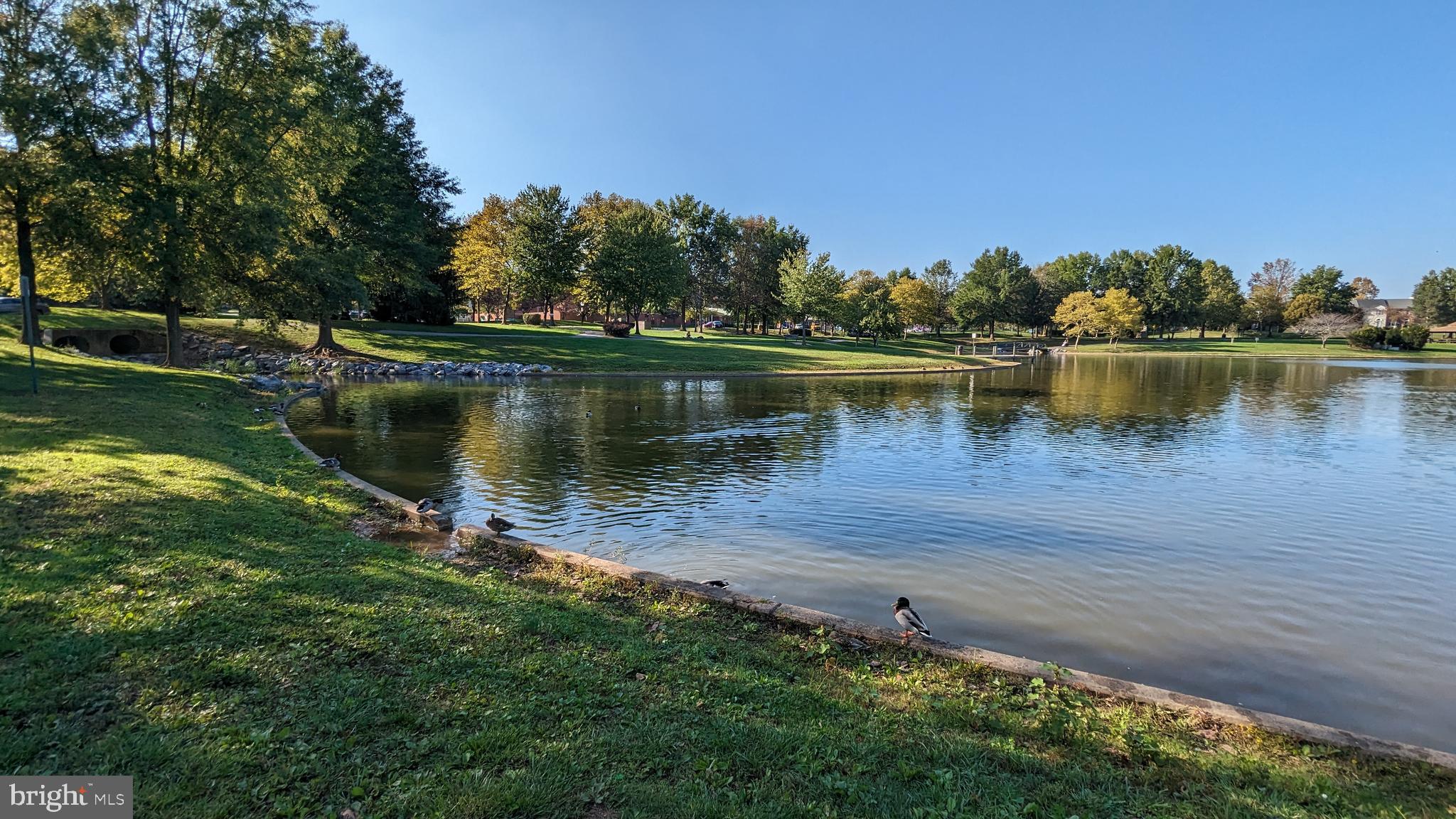 WHITTIER POND - Residential