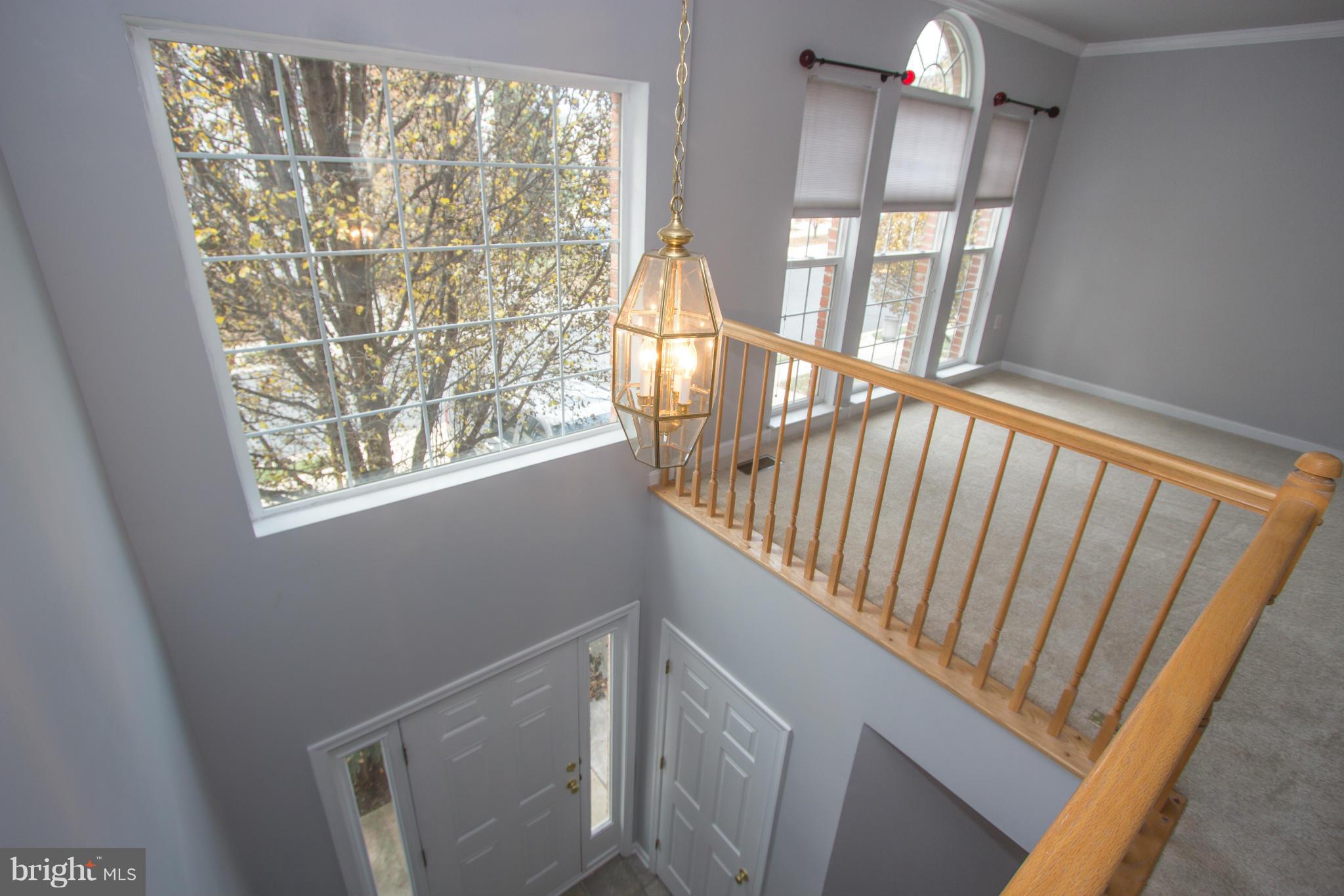 PARADISE - Residential