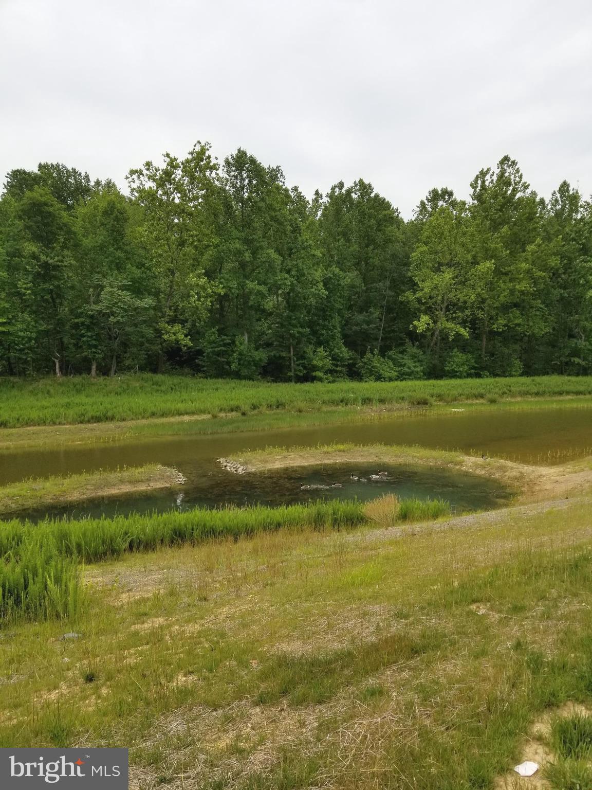 ST CHARLES SUB - FIELDSIDE - Residential Lease