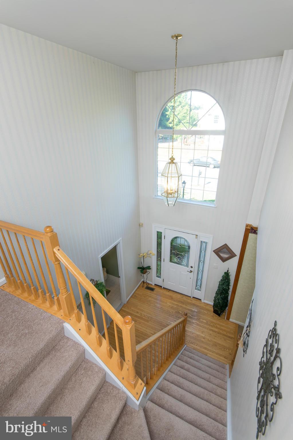 CARDINAL RIDGE - Residential