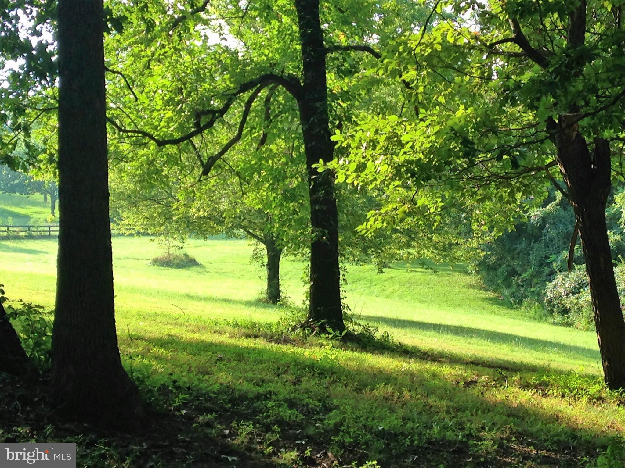 RAPIDAN LANDING - Residential