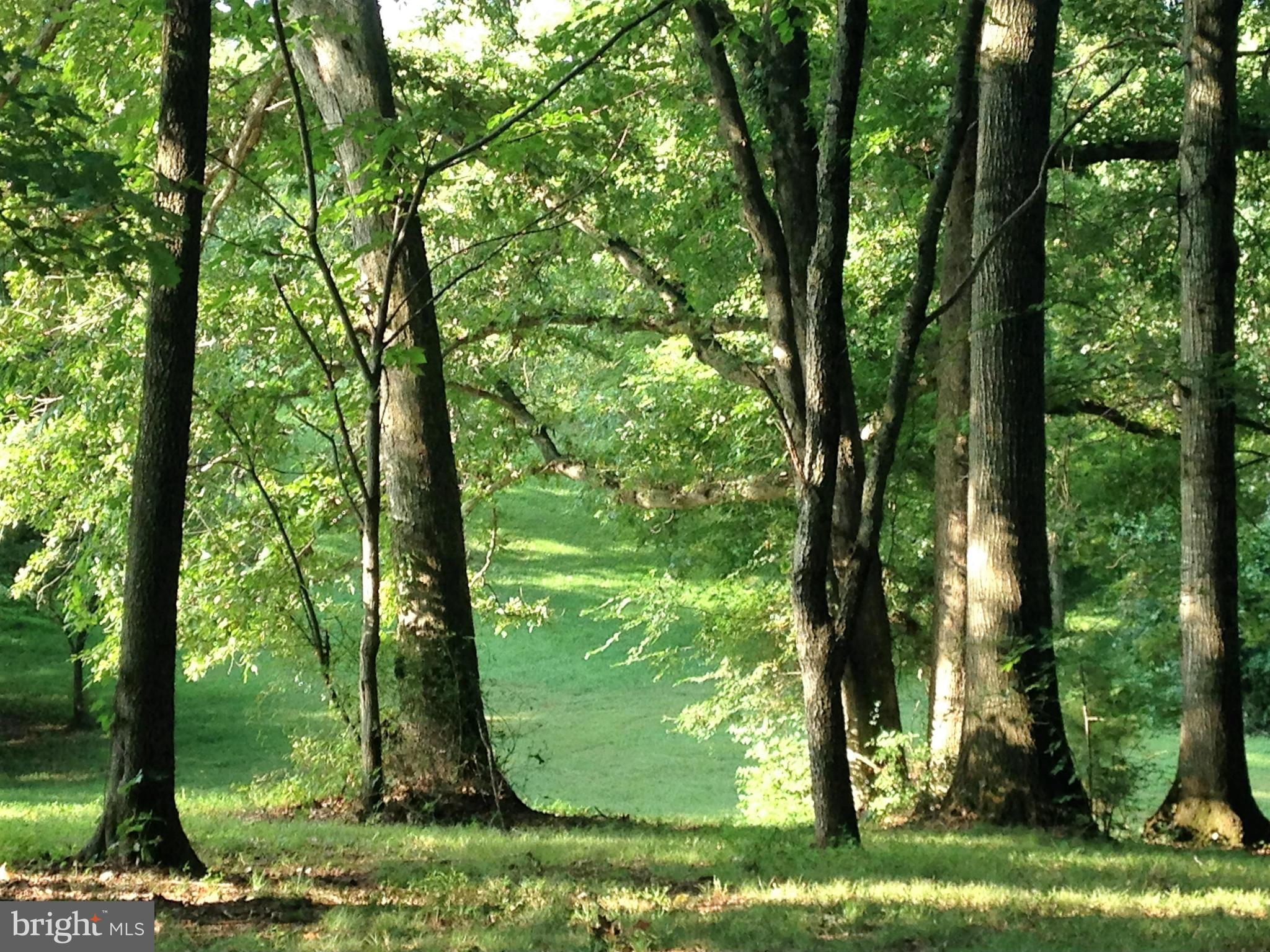RAPIDAN LANDING - Residential