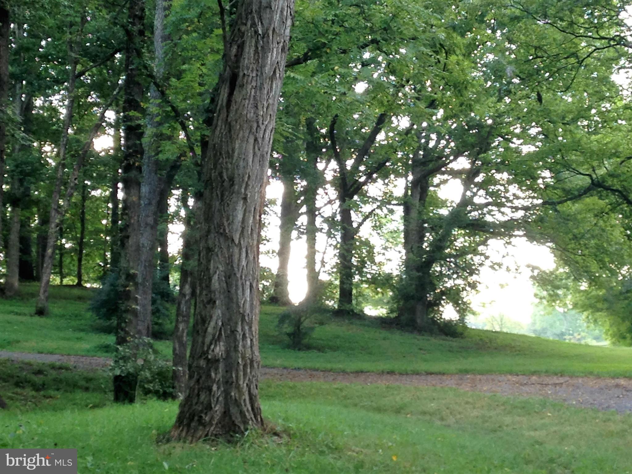 RAPIDAN LANDING - Residential