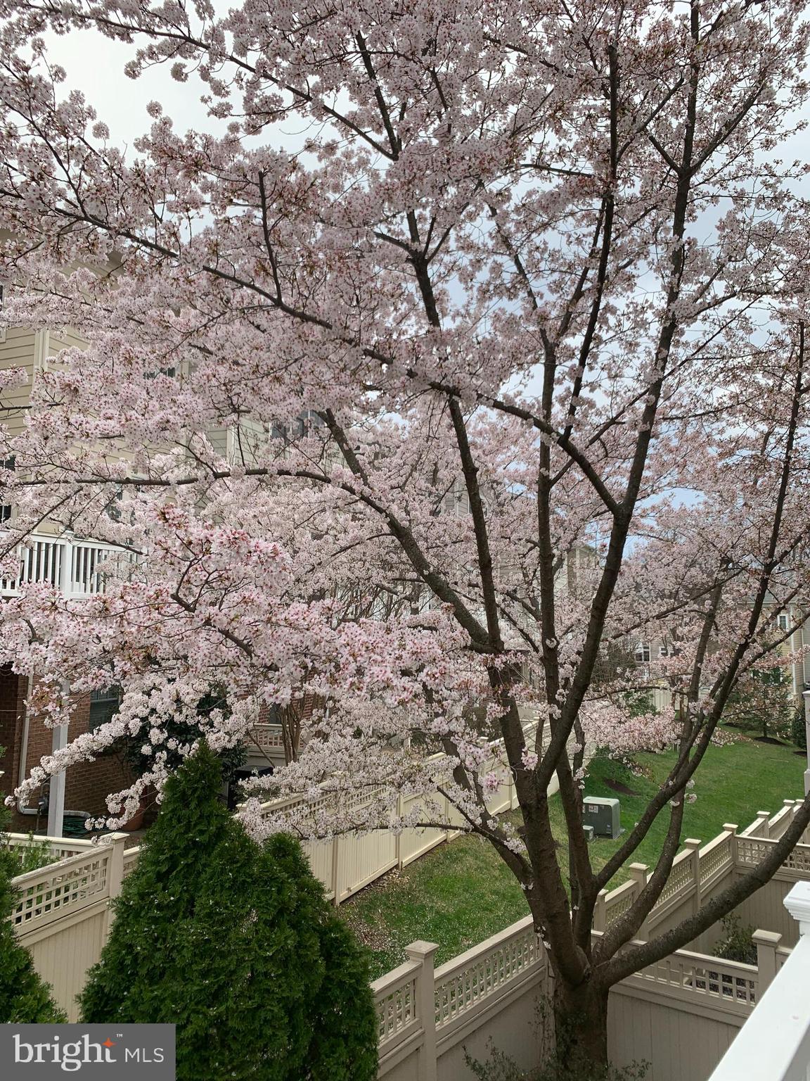 STOCKWELL MANOR - Residential
