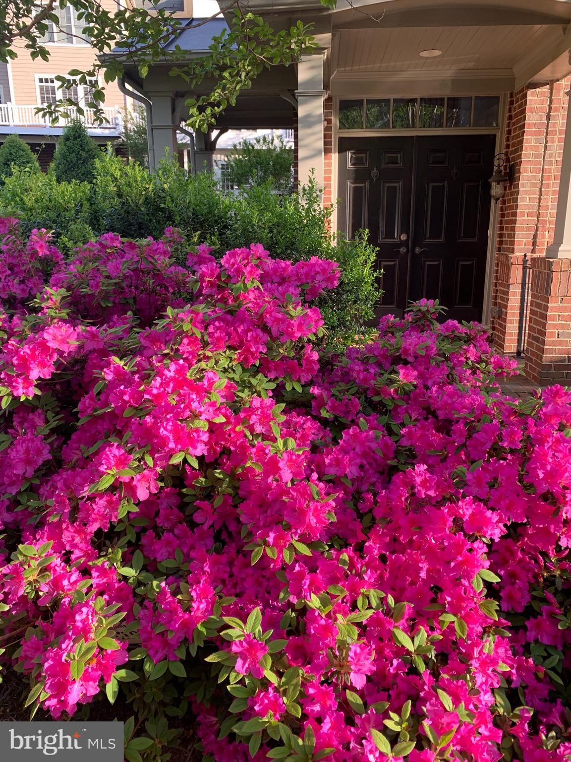 STOCKWELL MANOR - Residential