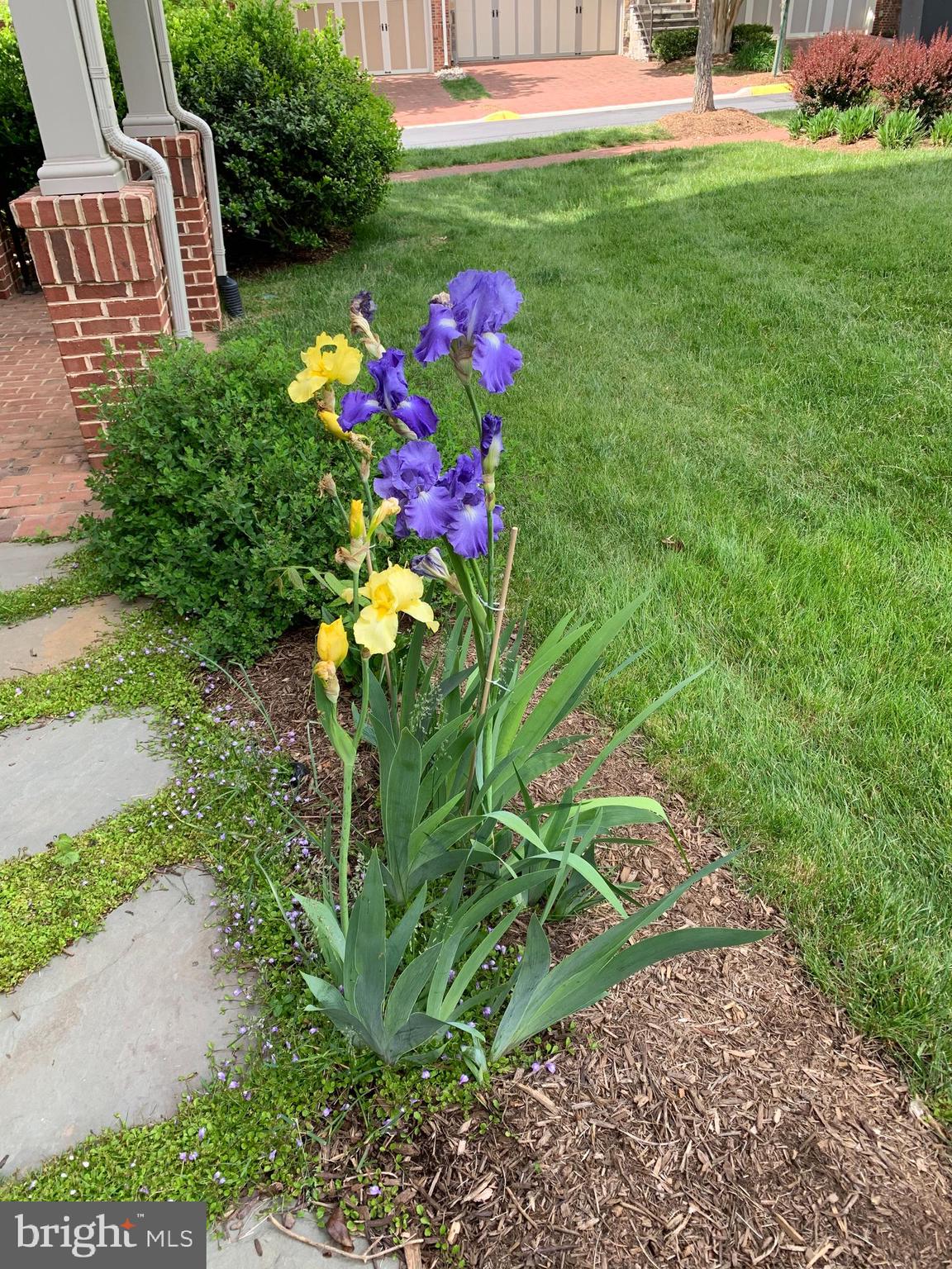 STOCKWELL MANOR - Residential