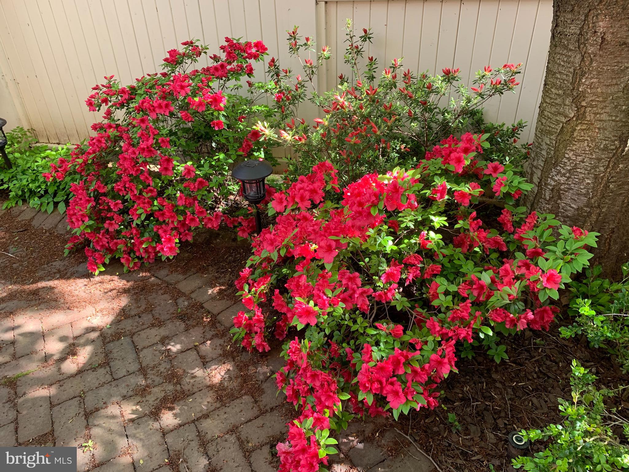 STOCKWELL MANOR - Residential